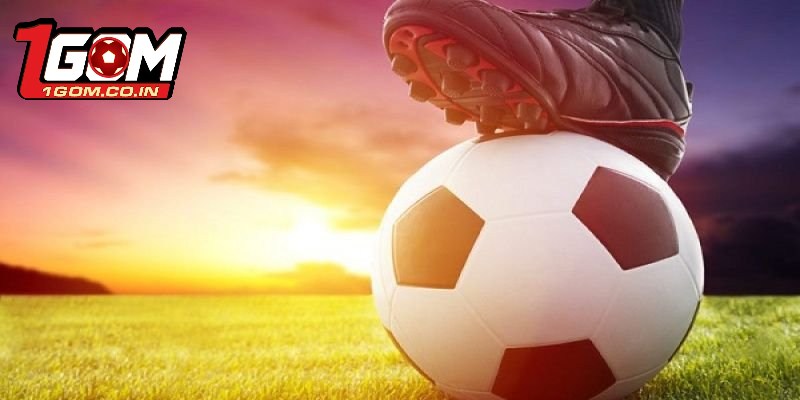 Các loại kết quả bóng đá được cập nhật trên 1Gom